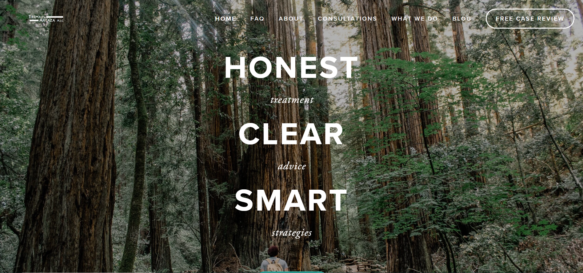 Dreamstream Digital - website