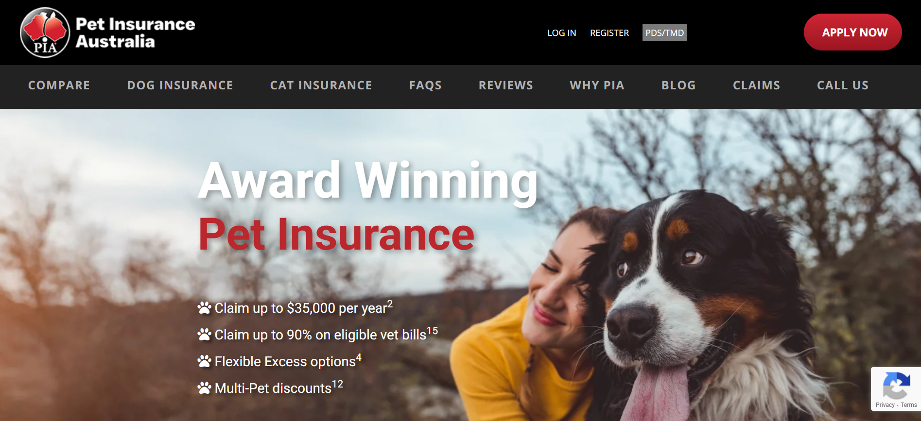 Dreamstream Digital - website